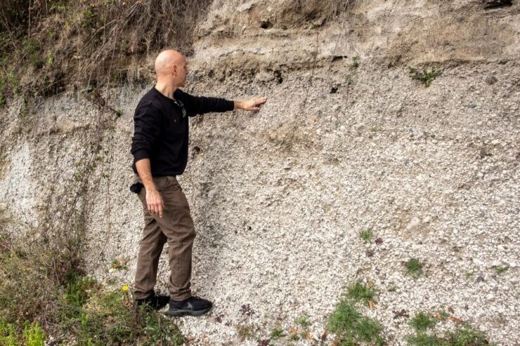 Naples: Walk-Through-Vineyards Private Tour - Good To Know