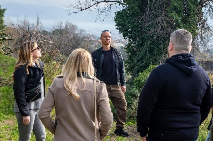 Naples: Walk-Through-Vineyards Private Tour - Itinerary