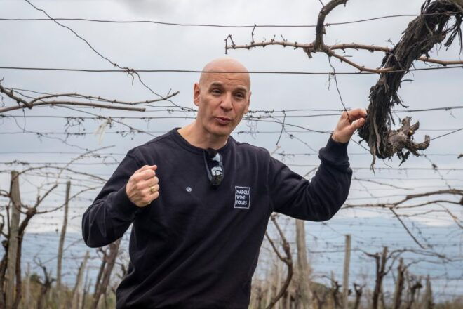 Naples: Walk-Through-Vineyards Private Tour - Highlights