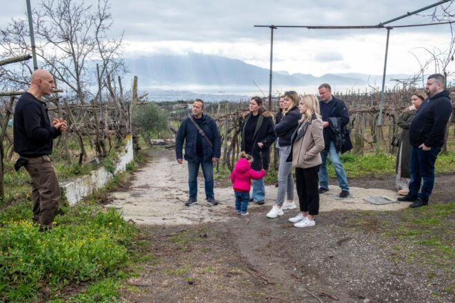 Naples: Walk-Through-Vineyards Private Tour - Inclusions