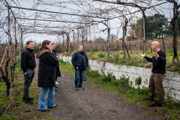 Naples: Walk-Through-Vineyards Private Tour - Frequently Asked Questions