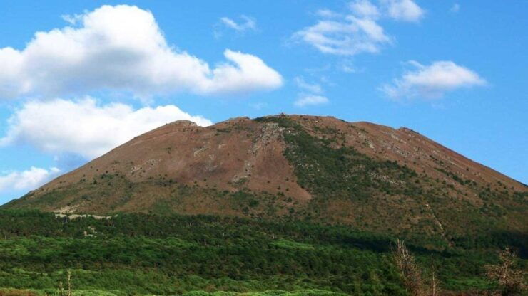 Naples: Wine Experience in a Winery at Astroni Crater Slopes - Good To Know