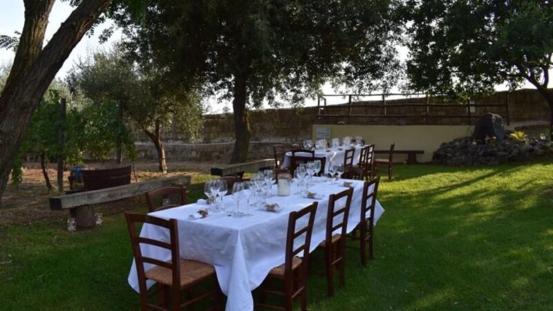 Naples: winery tour & wine tasting on Astroni crater - Good To Know