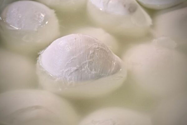 Napoli Food Tour in the Heart of the Old Town - The Sum Up