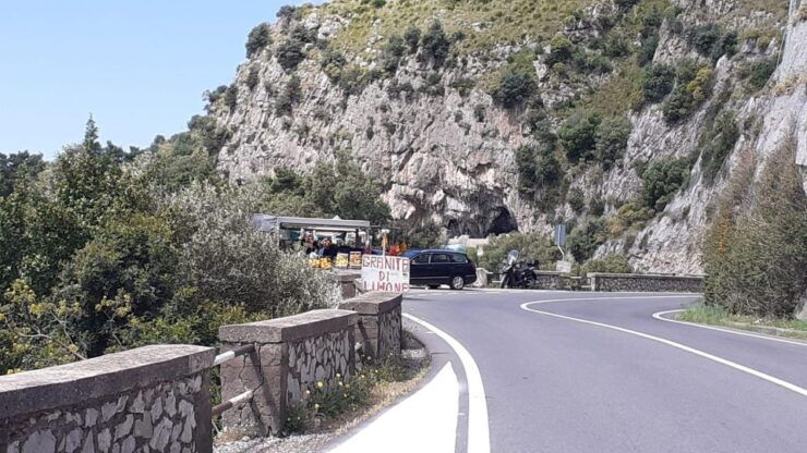 Napoli: Transfer From Napoli to Sorrento via Pompeii - Duration and Language Options