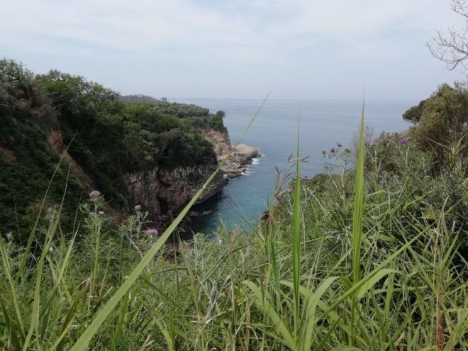 Napoli: Transfer From Napoli to Sorrento via Pompeii - Pompeii Stopover and Scenic Route