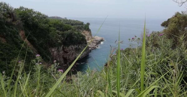 Napoli: Transfer From Napoli to Sorrento via Pompeii - The Sum Up