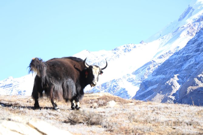 Nar-Phu Trekking 13 Days - Permits and Park Fees