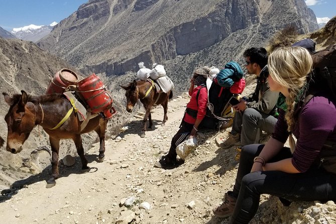 Nar Phu Valley Trek - 12 Days - Best Time to Visit