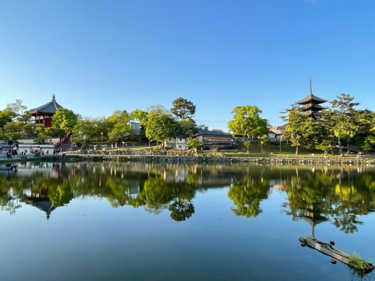 Nara: 1 Day Local Guide– Big Buddha, Deer, Shrine, Old Town - Good To Know