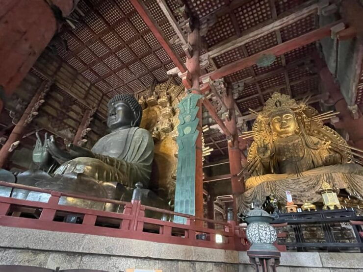 Nara: 1 Day Local Guide– Big Buddha, Deer, Shrine, Old Town - Itinerary Highlights