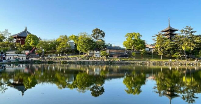 Nara: 1 Day Local Guide– Big Buddha, Deer, Shrine, Old Town - Key Locations to Visit