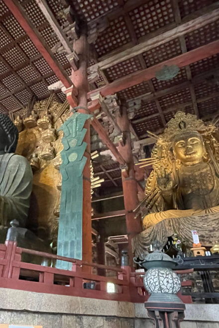 Nara: 1 Day Local Guide– Big Buddha, Deer, Shrine, Old Town - Tour Inclusions and Exclusions