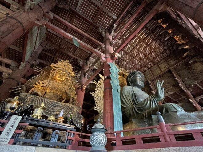 Nara: 1 Day Local Guide– Big Buddha, Deer, Shrine, Old Town - Important Information