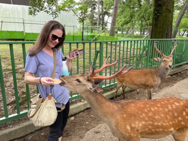 Nara: 1 Day Local Guide– Big Buddha, Deer, Shrine, Old Town - Tips for a Great Experience