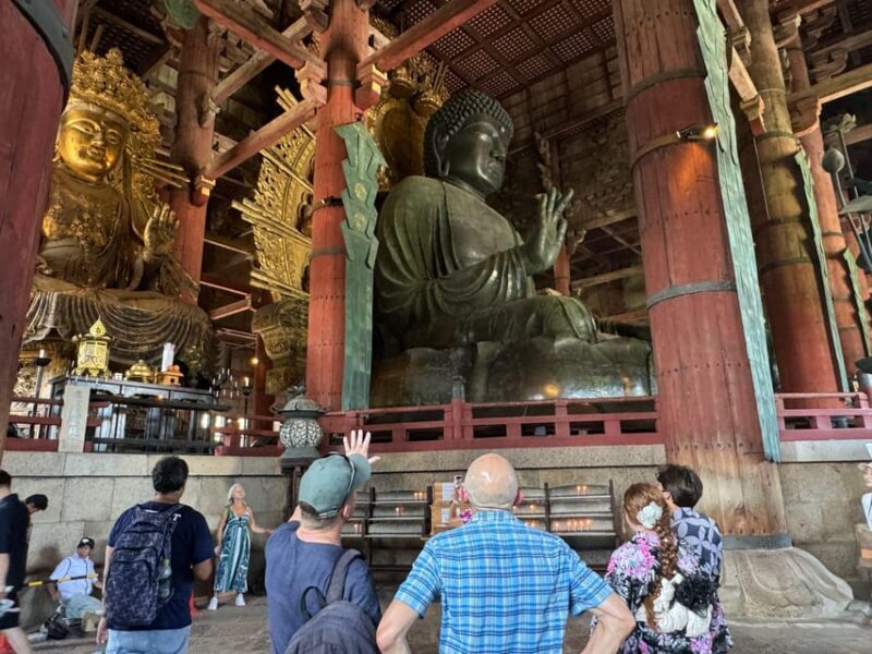 Nara: 3-Hour Guided Tour with Deer, Great Buddha & Shrines - An In-Depth Look at the Nara Guided Tour