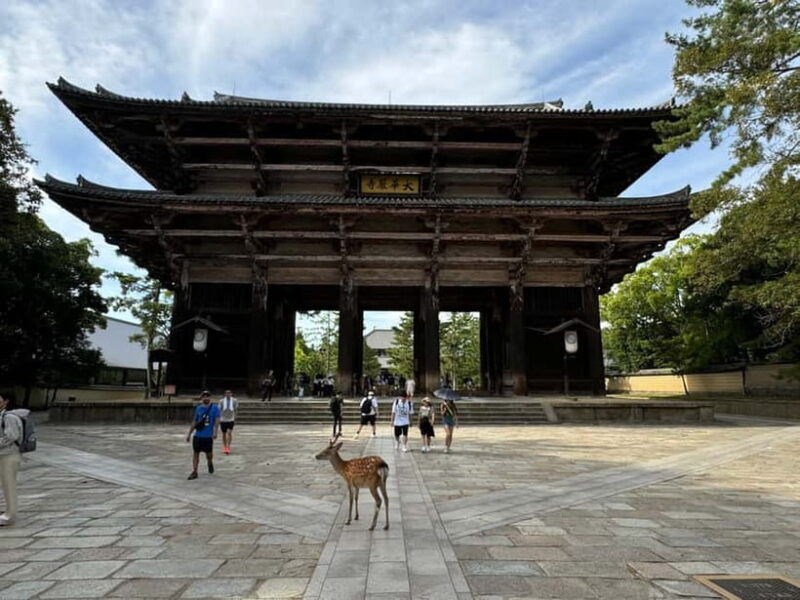 Nara: 3-Hour Guided Tour with Deer, Great Buddha & Shrines - FAQ