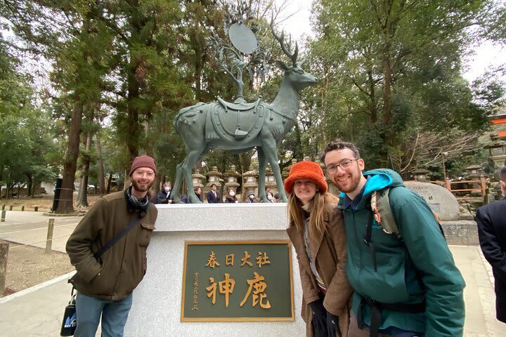 Nara 8hr Private Tour - Osaka DEP. with Licensed Guide - Is US$481.05 good value?