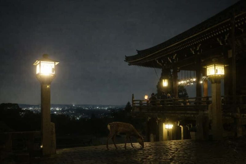 Nara After Dark: Sacred Deer, Lantern Walk with Hidden Views - Practical Aspects and Value