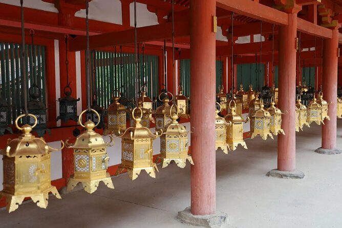 Nara Afternoon Tour from Kyoto - The Sum Up