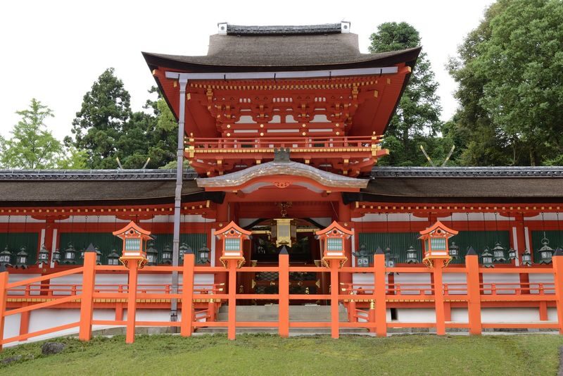 Nara Afternoon Tour from Kyoto & Osaka: Todai-ji, Nara Park & Kasuga - Key points to know before you go