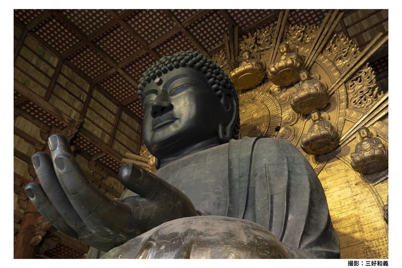 Nara Afternoon Tour from Kyoto & Osaka: Todai-ji, Nara Park & Kasuga - A half-day introduction to Nara’s sacred sites