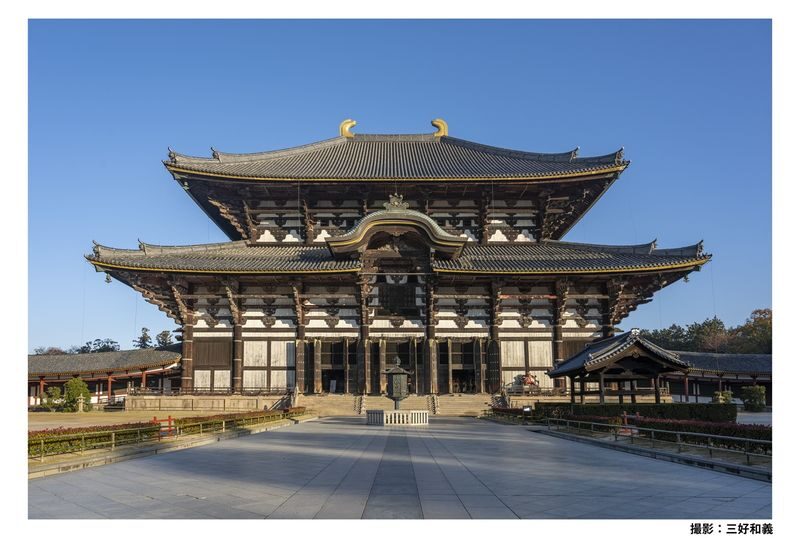 Nara Afternoon Tour from Kyoto & Osaka: Todai-ji, Nara Park & Kasuga - Nara Park and the deer encounter