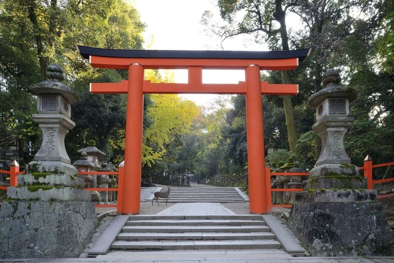 Nara Afternoon Tour from Kyoto & Osaka: Todai-ji, Nara Park & Kasuga - Coach travel and the Kyoto or Osaka departure