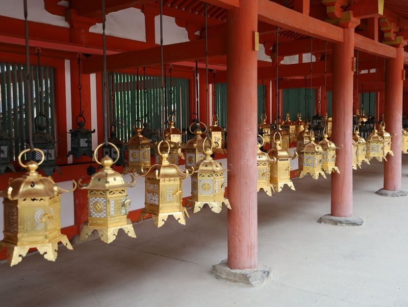 Nara Afternoon Tour from Kyoto & Osaka: Todai-ji, Nara Park & Kasuga - What the price includes, and where the value lies