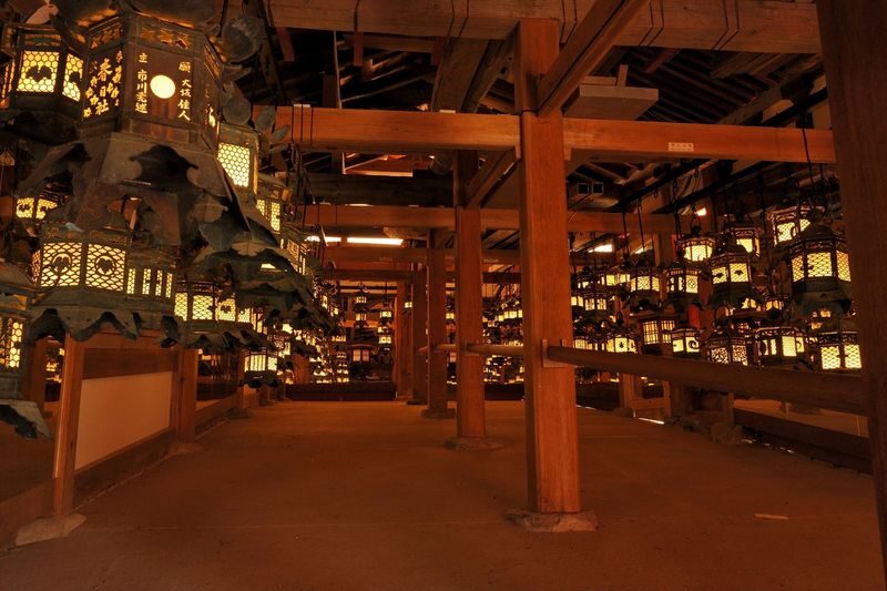 Nara Afternoon Tour from Kyoto & Osaka: Todai-ji, Nara Park & Kasuga - The guide sets the tone