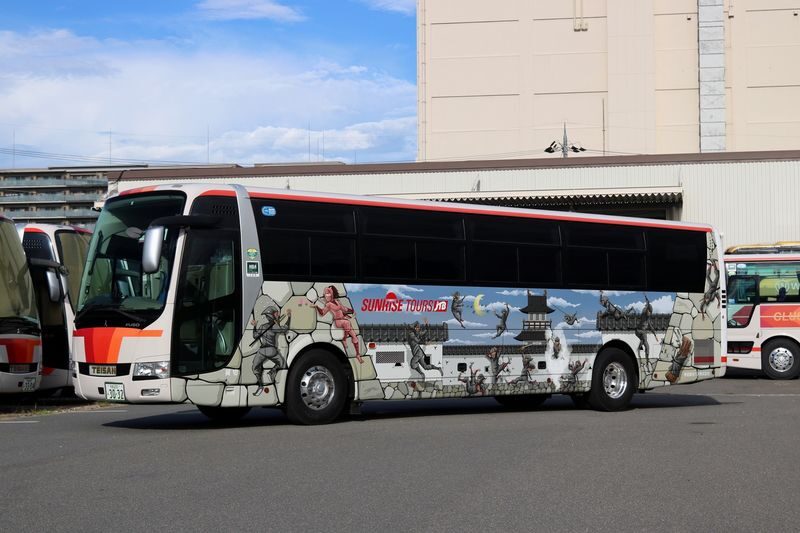 Nara Afternoon Tour from Kyoto & Osaka: Todai-ji, Nara Park & Kasuga - Who should book this Nara afternoon trip?