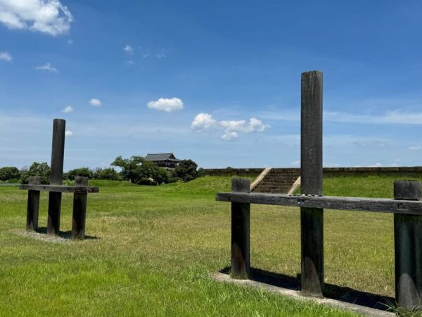 Nara: Ancient Imperial Palace, Heijokyu - Guided Tour 2H - Tips for an Enjoyable Visit