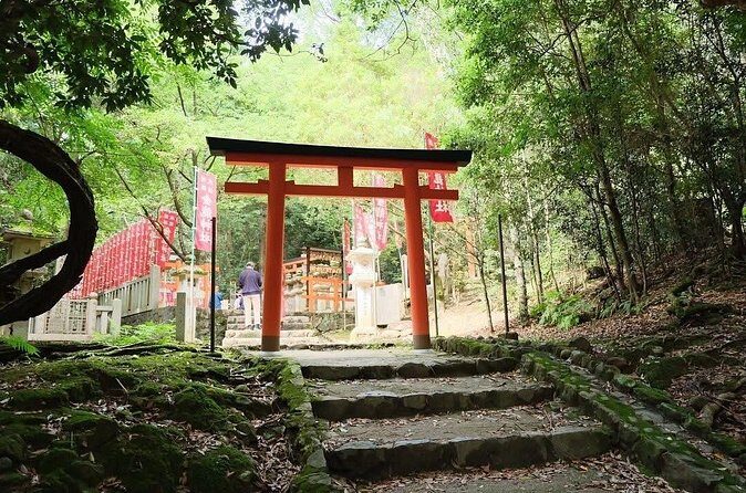 Nara and kyoto adventures private vehicle tour - Who Will Love This Tour?