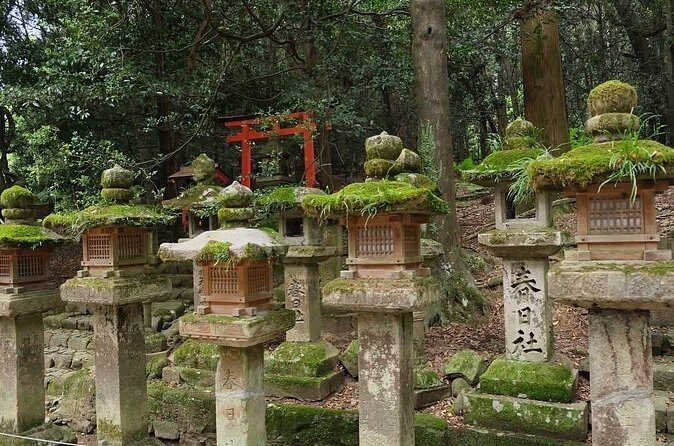 Nara and kyoto adventures private vehicle tour - Final Thoughts