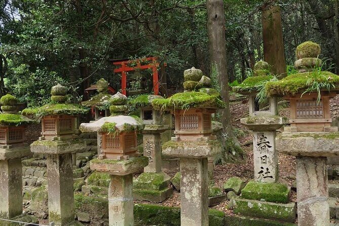 Nara and kyoto adventures private vehicle tour - Frequently Asked Questions