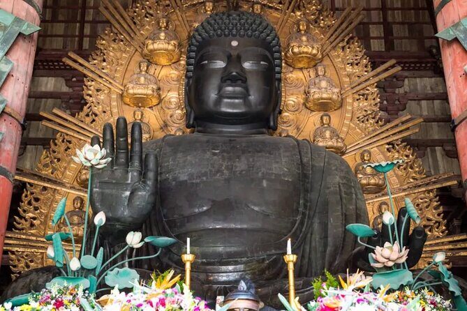 Nara and Osaka Tour from Osaka or Kobe Port - Authentic insights from traveler reviews