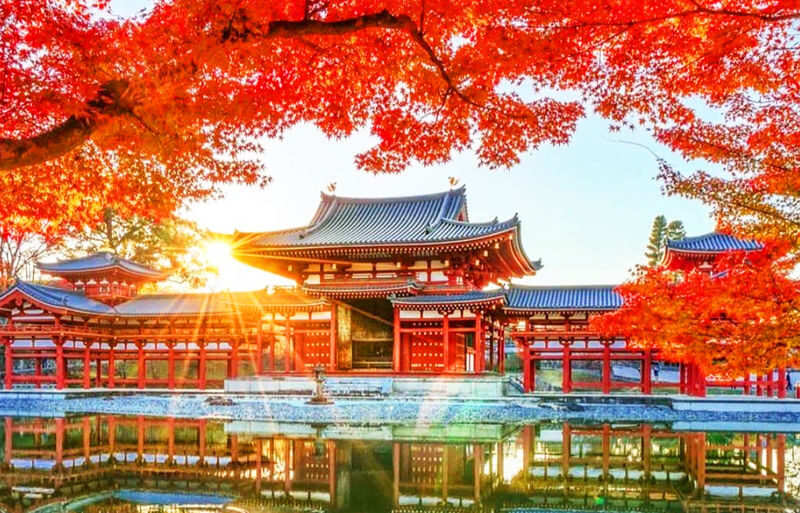 Nara and Uji Day Trip: Byodoin Temple, The Tale of Genji Museum, Uji Natural Hot Spring Genji no Yu, Nara Park, Todai-ji Temple, Kasuga Taisha Shrine - A day split between Nara and Uji