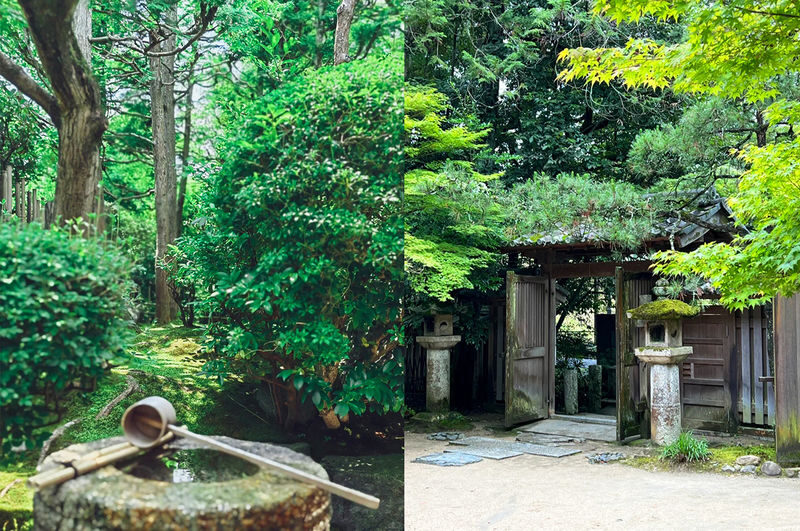 Nara and Uji Day Trip: Byodoin Temple, The Tale of Genji Museum, Uji Natural Hot Spring Genji no Yu, Nara Park, Todai-ji Temple, Kasuga Taisha Shrine - Guides, language and what the small group means