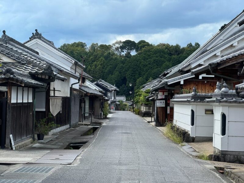 Nara: Asuka, Ancient Capital & Future Heritage Private Tour - Who Will Love This Tour?