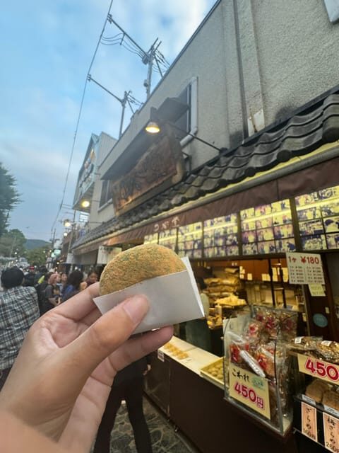 Nara attractive tour with local guide (4hours) - Who Will Love This Tour?