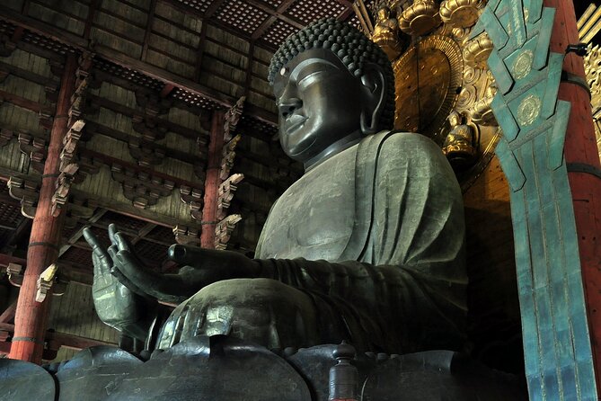 Nara Best Spots Private Tour With Licensed Guide (6h/8h) - Meeting Points and Logistics
