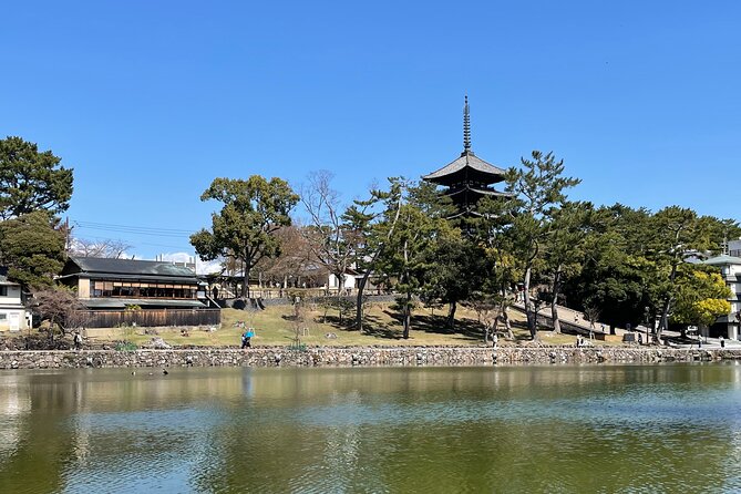 Nara Best Spots Private Tour With Licensed Guide (6h/8h) - Understanding the Cancellation Policy