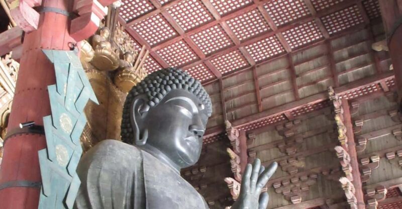 NARA: Budda gigante, Cervi liberi nel parco (Guida italiana) - Exploring Nara: A Guided Italian Tour to Japan’s Iconic Buddha and Deer