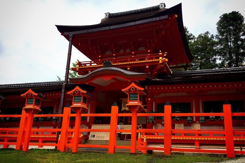 Nara Charter Car Customizable 1-Day Trip (from Kyoto) - Nara Park and its deer