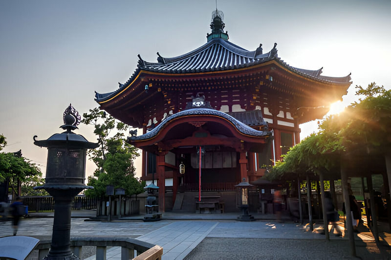 Nara Charter Car Customizable 1-Day Trip (from Kyoto) - How to shape a day without rushing