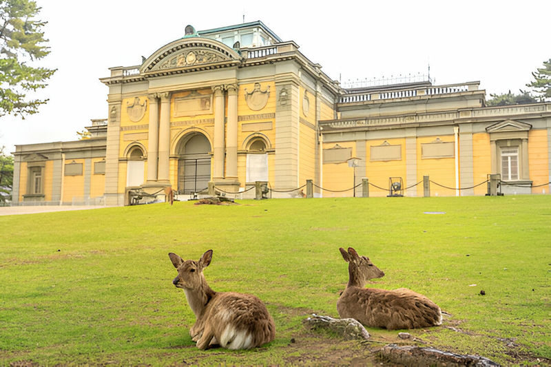 Nara Charter Car Customizable 1-Day Trip (from Kyoto) - Booking details worth checking