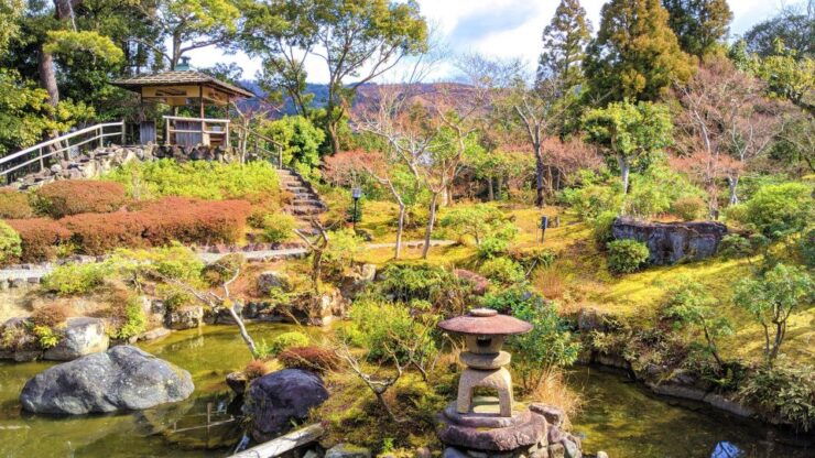 Nara: City Highlights Shared Group or Private Bike Tour - Tour Details and Availability