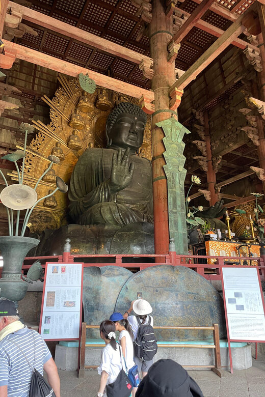 Nara City Tour | Explore Temples, Park & Local Highlights - FAQ