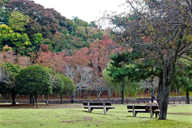 Nara Custom Full Day Tour - Customization and Itinerary