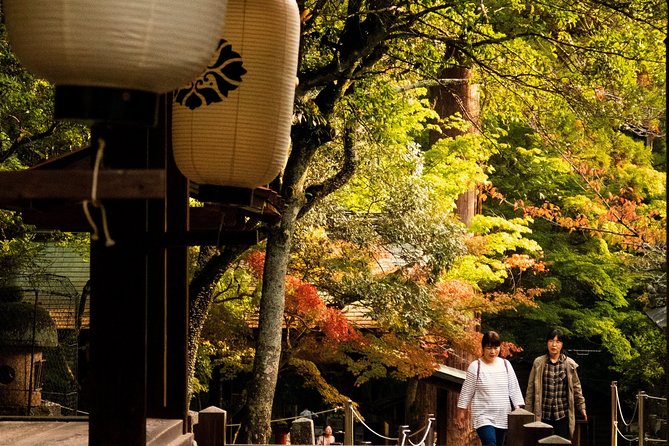 Nara Custom Half Day Tour - Overall Experience